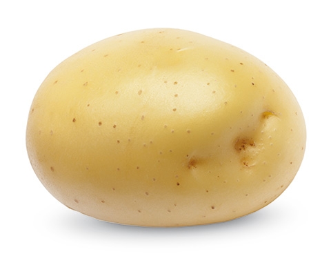 Заказать семенной картофель Примабелль оптом в СПб