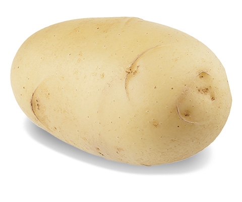 Садокас семена картофеля четыре семена